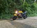 Yamaha XJ 6 Jaune - thumbnail 8