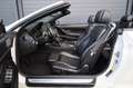 BMW 650 i xDrive Cabrio/ACC/360/H&K/SHZ/SBL/SPUR/R20 Weiß - thumbnail 9