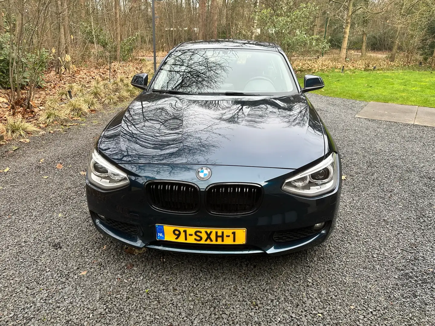 BMW 116 116i Business plava - 1