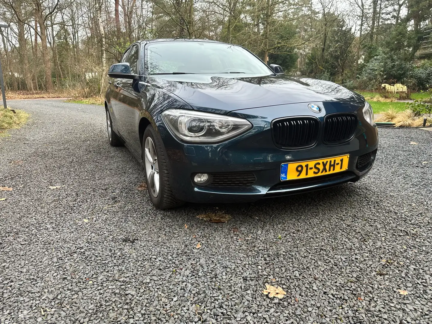 BMW 116 116i Business Niebieski - 2