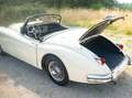Jaguar XK 150 S Bílá - thumbnail 15