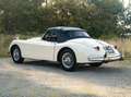 Jaguar XK 150 S Bílá - thumbnail 9