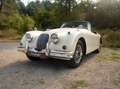 Jaguar XK 150 S Bílá - thumbnail 10