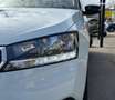 Skoda Fabia 1.0 MPI 60CH EDITION Blanc - thumbnail 14