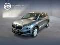 Skoda Karoq Selection TSI DSG ACT Grau - thumbnail 1