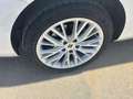 SEAT Leon Xcellence Go Blanco - thumbnail 17