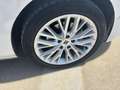 SEAT Leon Xcellence Go Blanco - thumbnail 15
