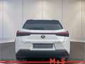 Lexus Sonstige Weiß - thumbnail 5