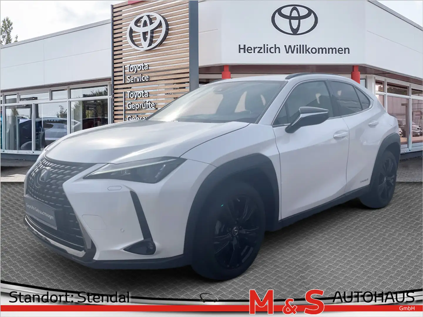 Lexus Sonstige Weiß - 1