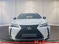 Lexus Sonstige Weiß - thumbnail 2