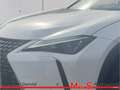 Lexus Sonstige Weiß - thumbnail 6