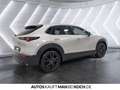 Mazda CX-30 2.5 L M. HYBRID 6GS Homura LED Navi Klima Grau - thumbnail 4
