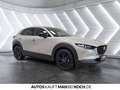 Mazda CX-30 2.5 L M. HYBRID 6GS Homura LED Navi Klima Grau - thumbnail 5