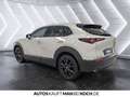 Mazda CX-30 2.5 L M. HYBRID 6GS Homura LED Navi Klima Grau - thumbnail 3