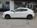 Mazda 3 Mazda3 e-Skyactiv-G140 Exclusive-Line Weiß - thumbnail 7