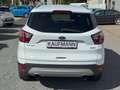 Ford Kuga Trend 1.5 EcoBoost SHZ LenkradHZG Keyless Notbrems Bianco - thumbnail 5
