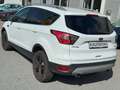 Ford Kuga Trend 1.5 EcoBoost SHZ LenkradHZG Keyless Notbrems Bianco - thumbnail 6