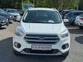 Ford Kuga Trend 1.5 EcoBoost SHZ LenkradHZG Keyless Notbrems Bianco - thumbnail 2