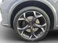 CUPRA Formentor 2.0 TSI DSG 4Drive VZ DCC VIRTUAL*NAVI*LED*ACC*... Grau - thumbnail 18