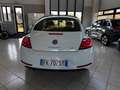 Volkswagen Maggiolino Maggiolino 2017 1.2 tsi Design 105cv PREZZO VERO Bianco - thumbnail 5