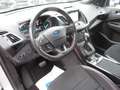 Ford Kuga ST-Line Automatik , Anhängerkupplung Silber - thumbnail 5