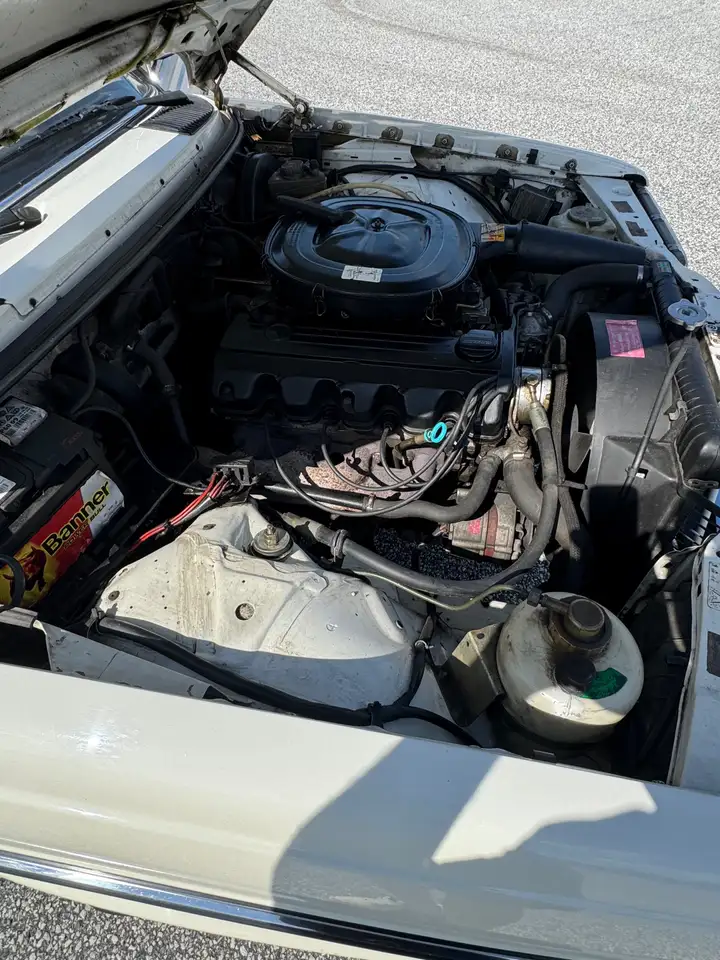 Mercedes-Benz E 230 W123 230 TE, foto 10