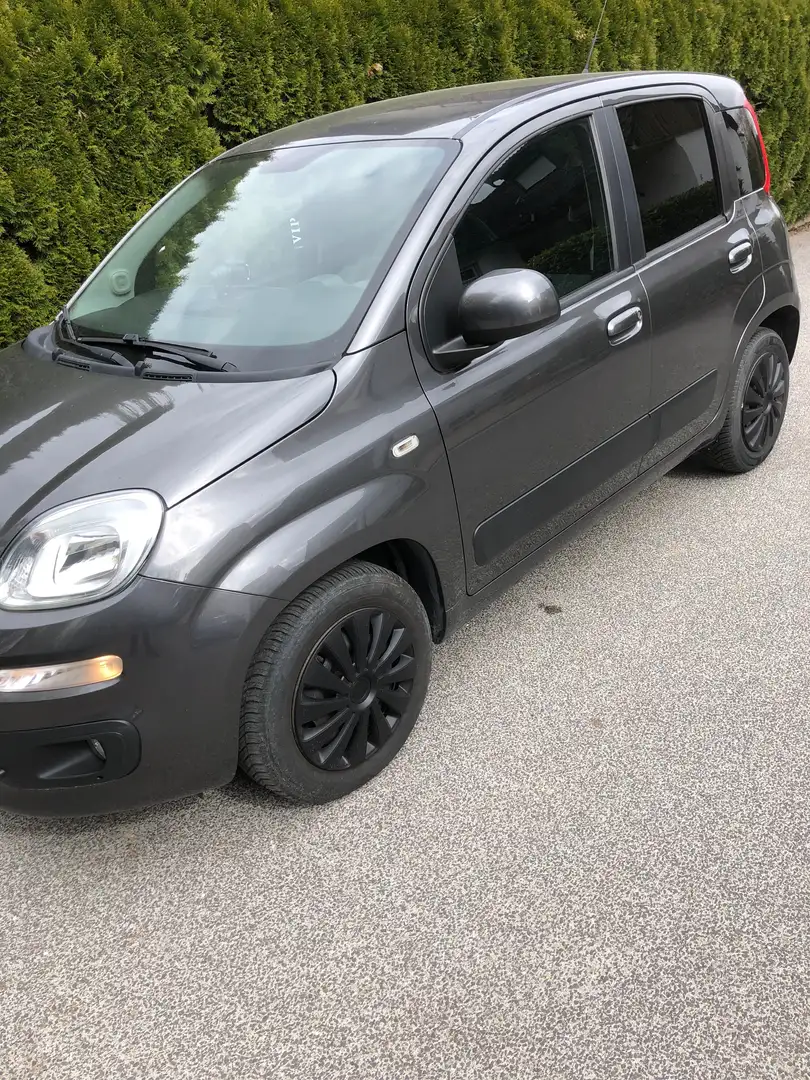 Fiat Panda 1.2 Pop Grau - 2