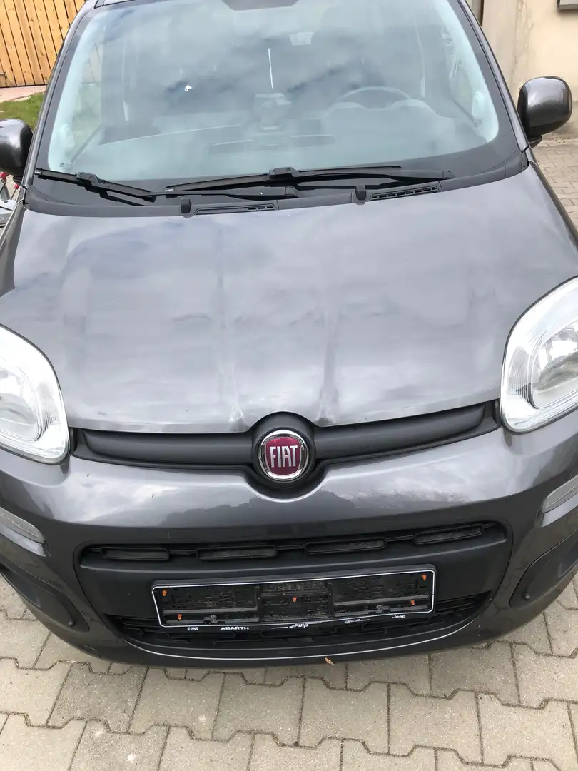 Fiat Panda 1.2 Pop Grau - 1