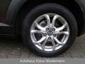 Mazda CX-3 2.0 SKYACTIV-G 120  Exclusive - 2.Hd/43 TKM Grau - thumbnail 15