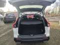 Honda CR-V CR-V Hybrid e:HEV 2.0 i-MMD Hybrid AWD Advance Weiß - thumbnail 6
