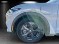 Ford Mustang Mach-E Mustang MACH-E Aut./LED/ACC/KAMERA/PANO/B&O/NAVI Bleu - thumbnail 14
