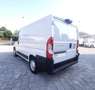 Fiat Ducato 2.3 MJET 140 cv L1H1 CAMBIO AUTOMATICO CRUISE CONT Blanc - thumbnail 13