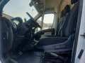 Fiat Ducato 2.3 MJET 140 cv L1H1 CAMBIO AUTOMATICO CRUISE CONT Blanc - thumbnail 4