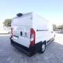 Fiat Ducato 2.3 MJET 140 cv L1H1 CAMBIO AUTOMATICO CRUISE CONT Blanc - thumbnail 15