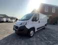 Fiat Ducato 2.3 MJET 140 cv L1H1 CAMBIO AUTOMATICO CRUISE CONT Blanc - thumbnail 3