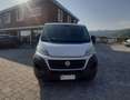 Fiat Ducato 2.3 MJET 140 cv L1H1 CAMBIO AUTOMATICO CRUISE CONT Blanc - thumbnail 2