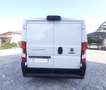 Fiat Ducato 2.3 MJET 140 cv L1H1 CAMBIO AUTOMATICO CRUISE CONT Blanc - thumbnail 14