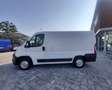 Fiat Ducato 2.3 MJET 140 cv L1H1 CAMBIO AUTOMATICO CRUISE CONT Blanc - thumbnail 12