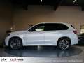 BMW X5 360° H&K Leder AHK HUD Soft-C Weiß - thumbnail 5