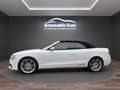Audi A5 2.0 TDI (140kW) quattro S-line Weiß - thumbnail 3