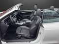 Audi A5 2.0 TDI (140kW) quattro S-line Weiß - thumbnail 21