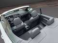 Audi A5 2.0 TDI (140kW) quattro S-line Weiß - thumbnail 20