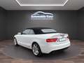 Audi A5 2.0 TDI (140kW) quattro S-line Weiß - thumbnail 4