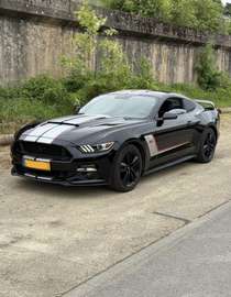 3.7 V6