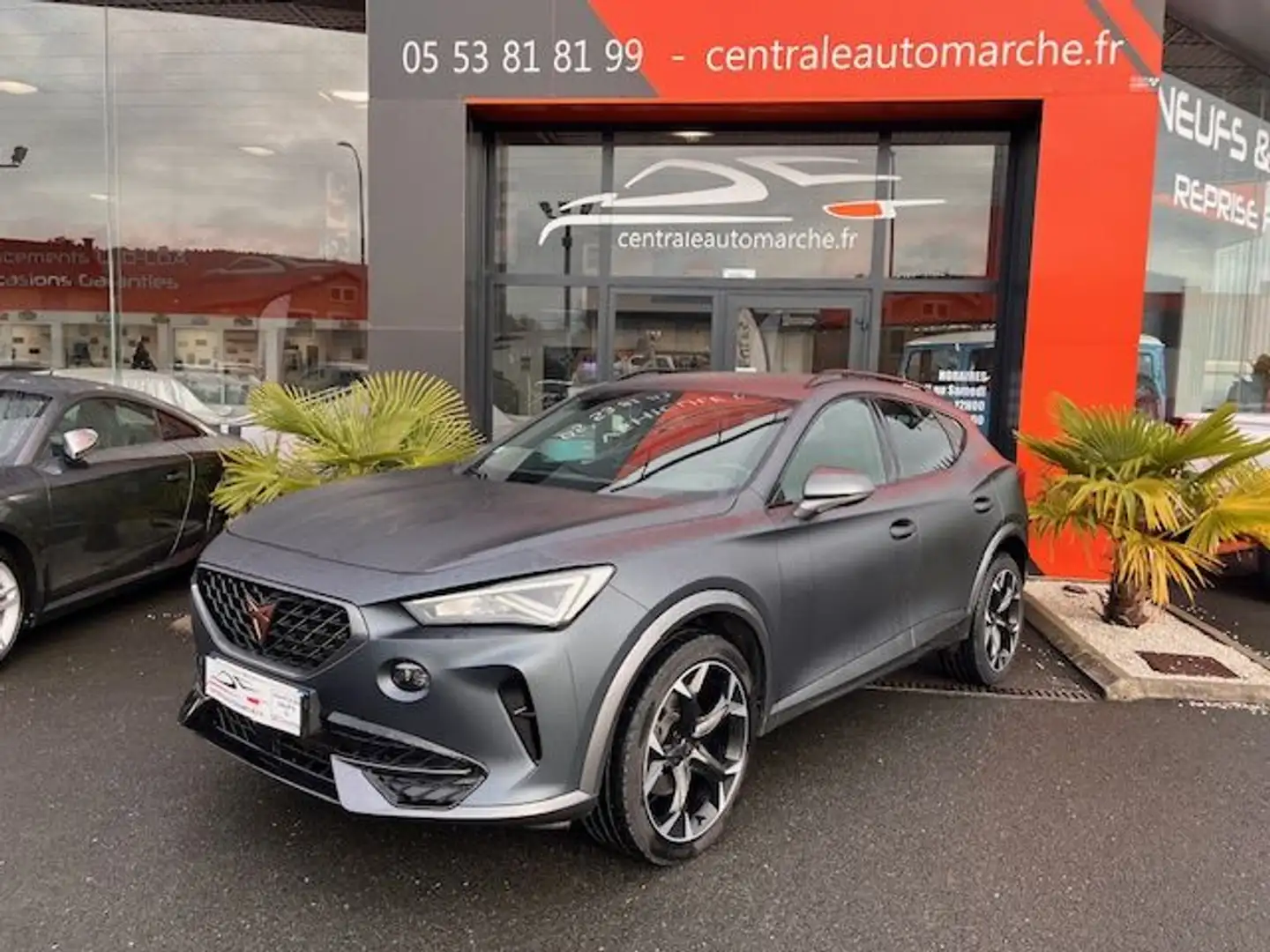 CUPRA Formentor 2.0 TDI 150 ch Business Edition Grau - 1