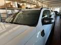 Ford Ranger 2.0 double cab Wildtrak 170cv auto PREZZO NETTO Bianco - thumbnail 7