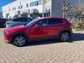 Mazda CX-30 m-hybrid 2WD Exceed Automatica Rouge - thumbnail 3