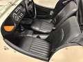 Morgan Plus 8 RARA con Motore 3.5 V8 (Originale Inglese) Weiß - thumbnail 7