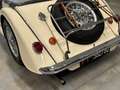 Morgan Plus 8 RARA con Motore 3.5 V8 (Originale Inglese) Weiß - thumbnail 5