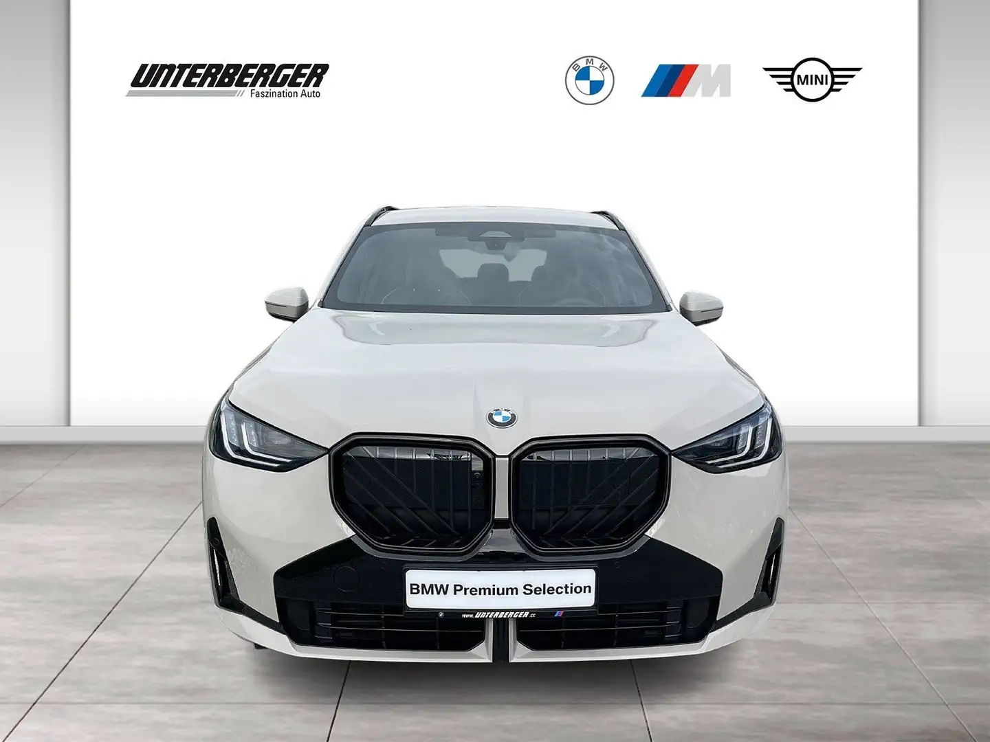 BMW X3 30e xDrive M Sportpaket | M Sportpaket Pro * Grijs - 2